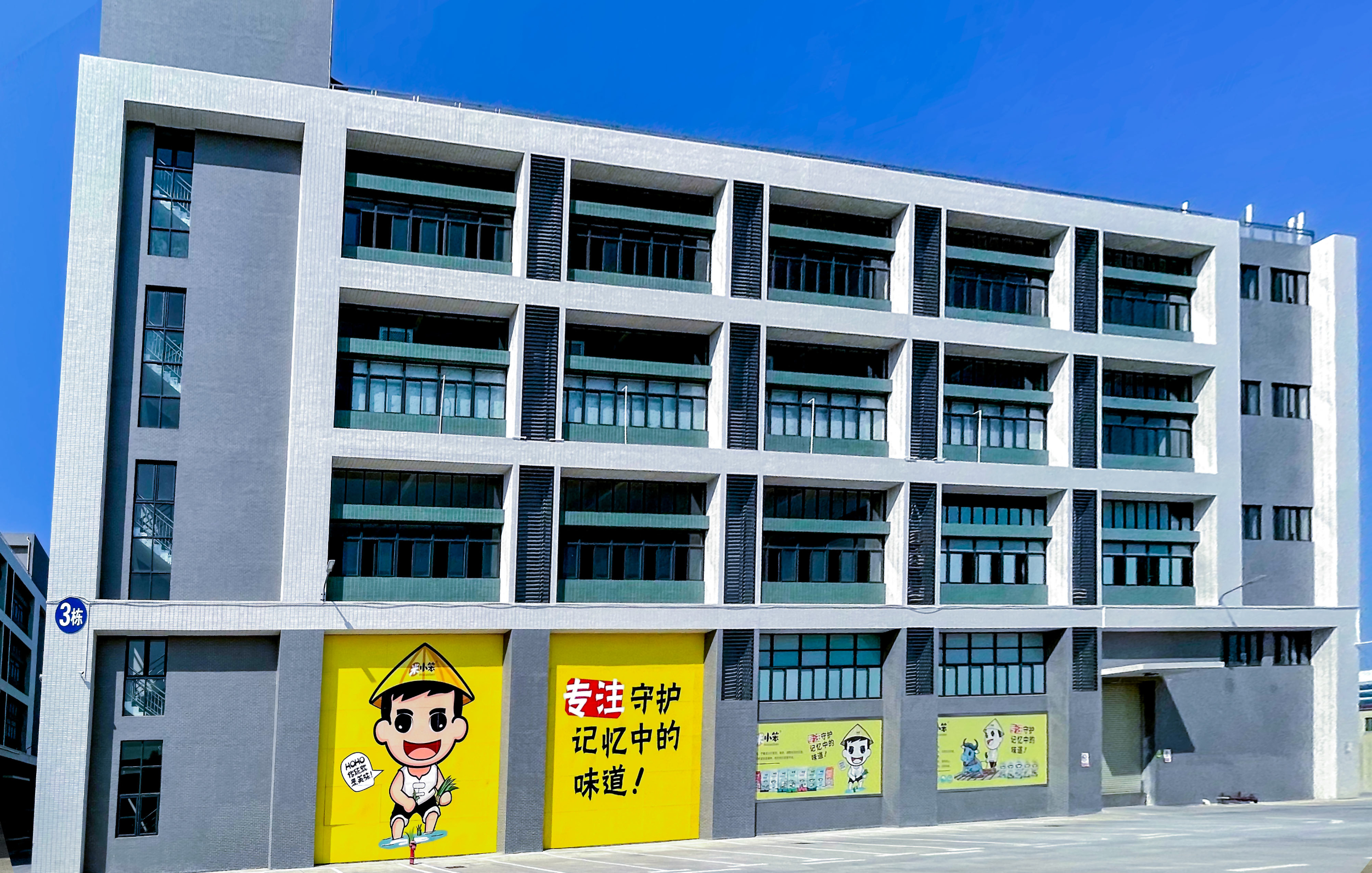 Company profile