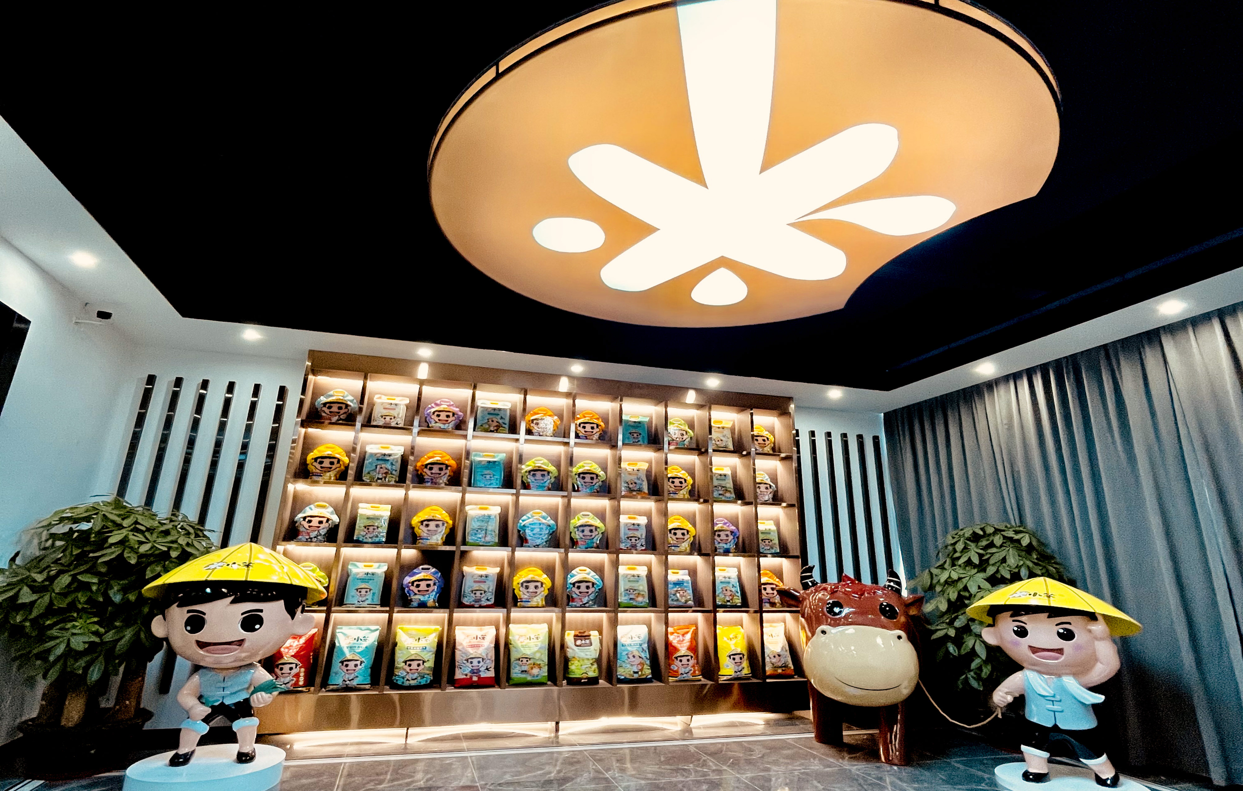 公司简介