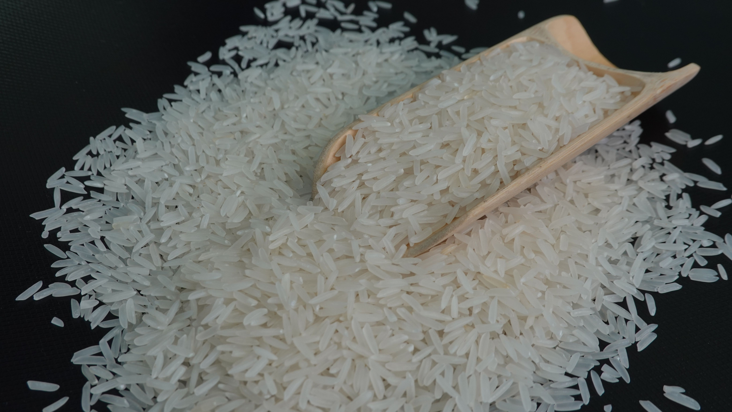 以更开放姿态促进全球粮食贸易