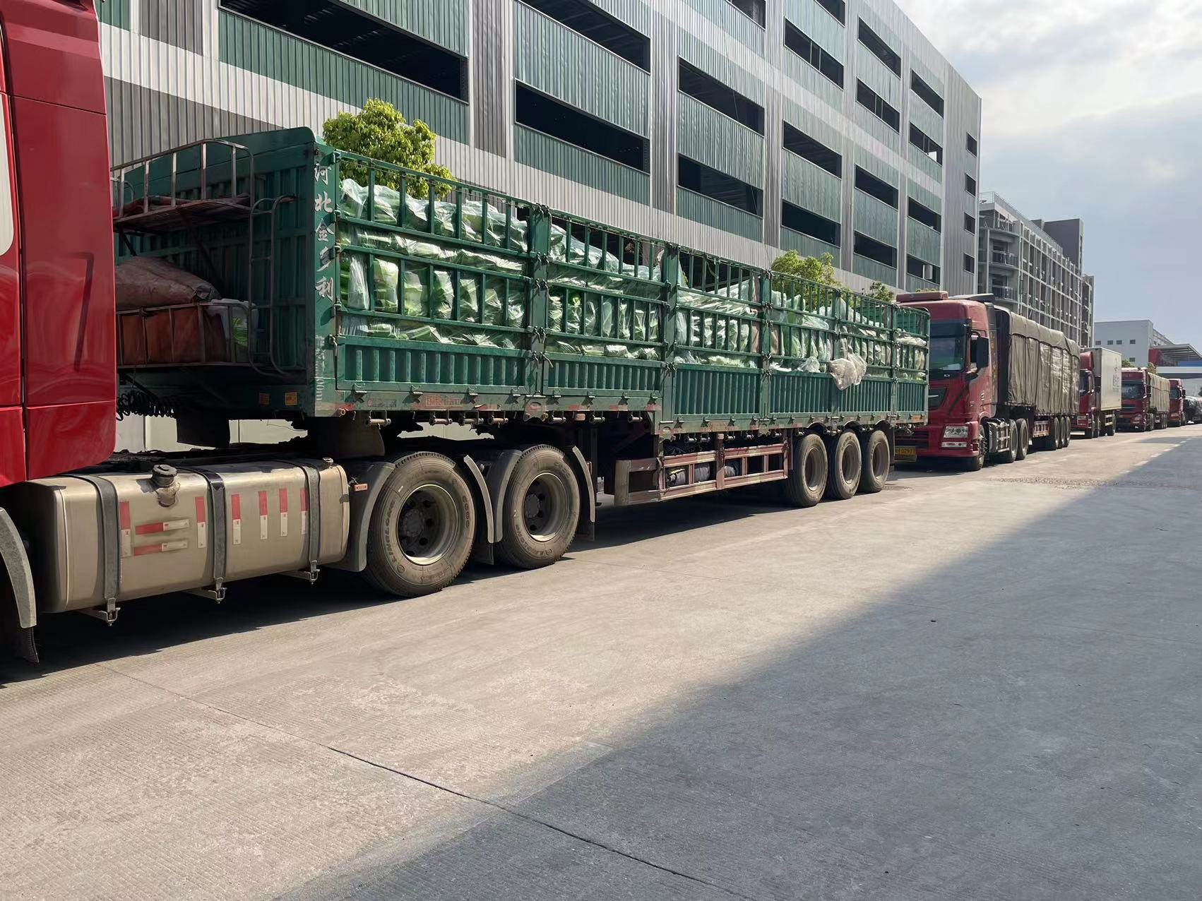 共抗疫情 全力保供